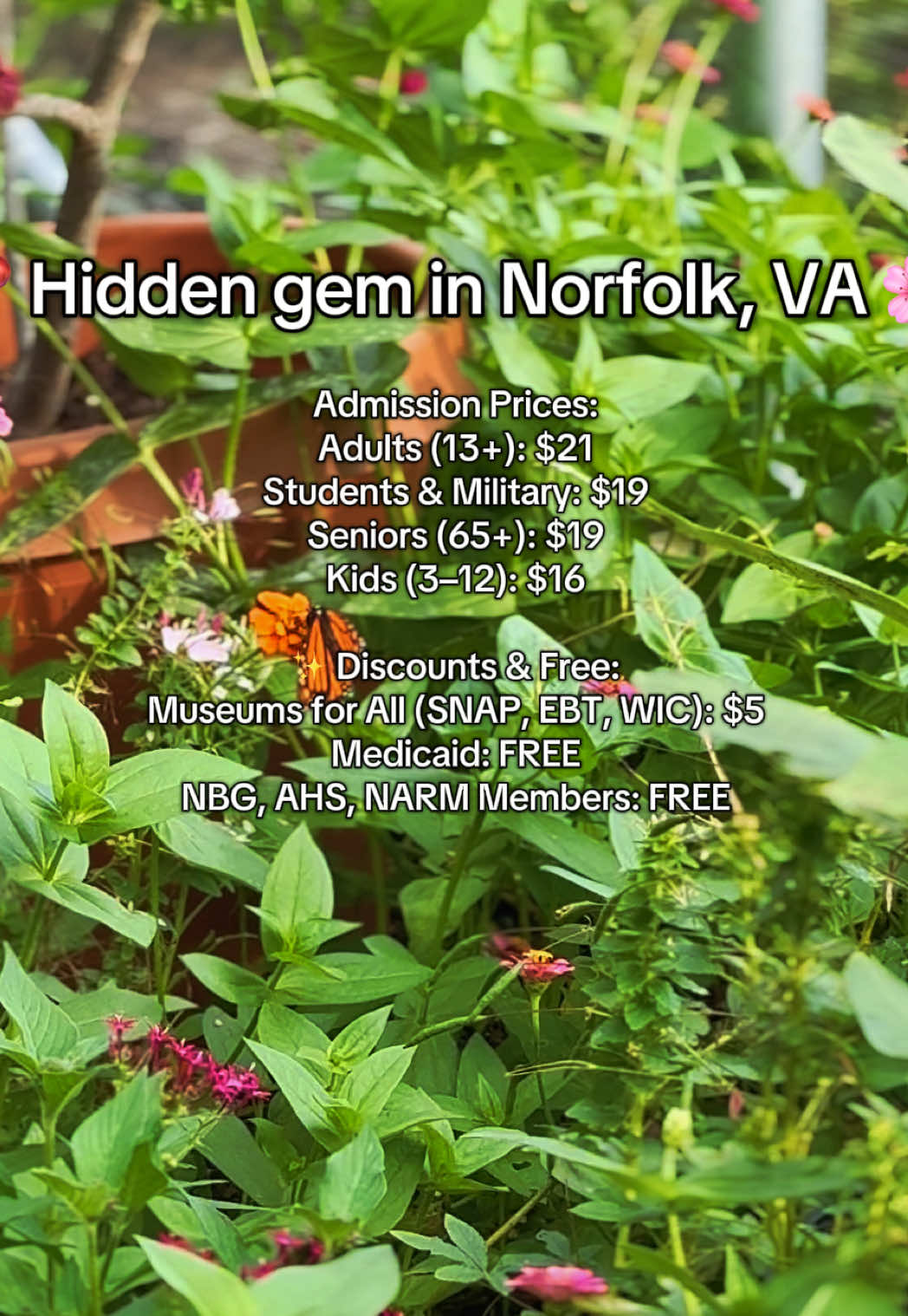 Norfolk Botanical Garden