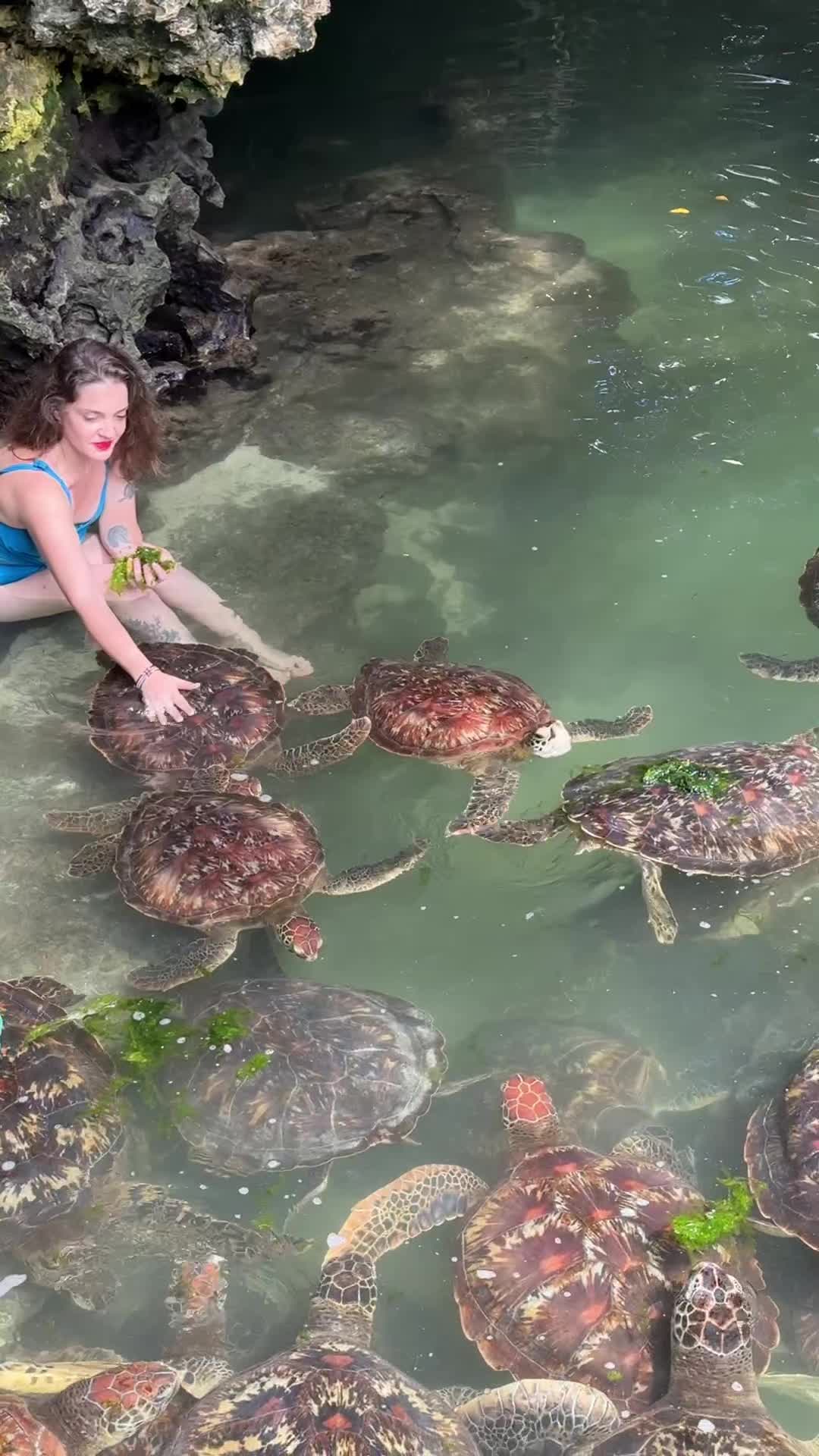 Nungwi Natural Aquarium