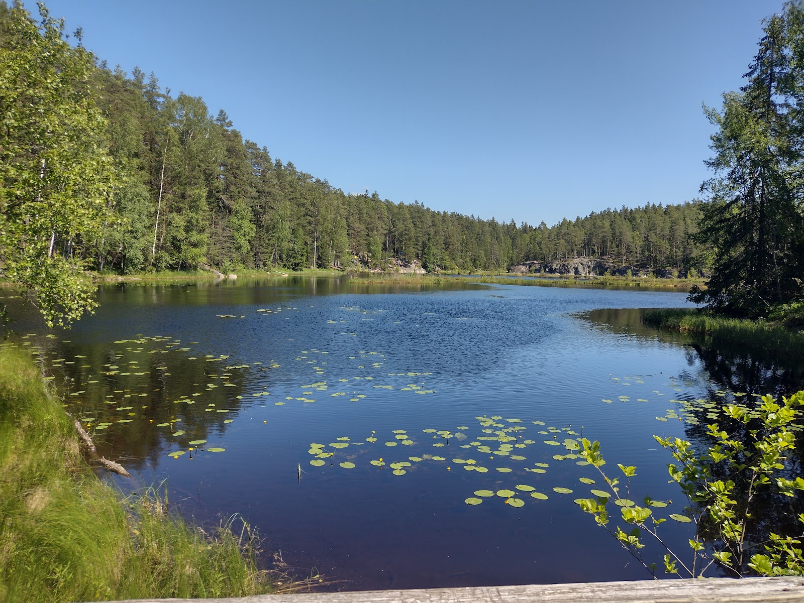 10 טיולי יום הטובים ביותר מחוץ להלסינקי