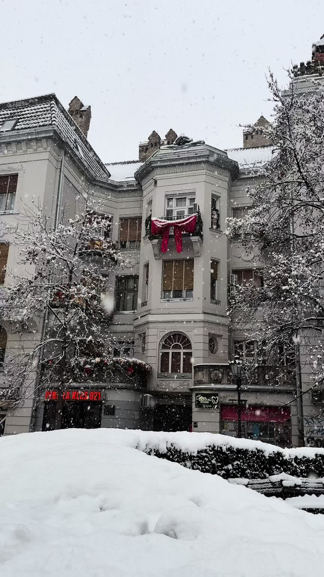 נובי סאד (Novi Sad)