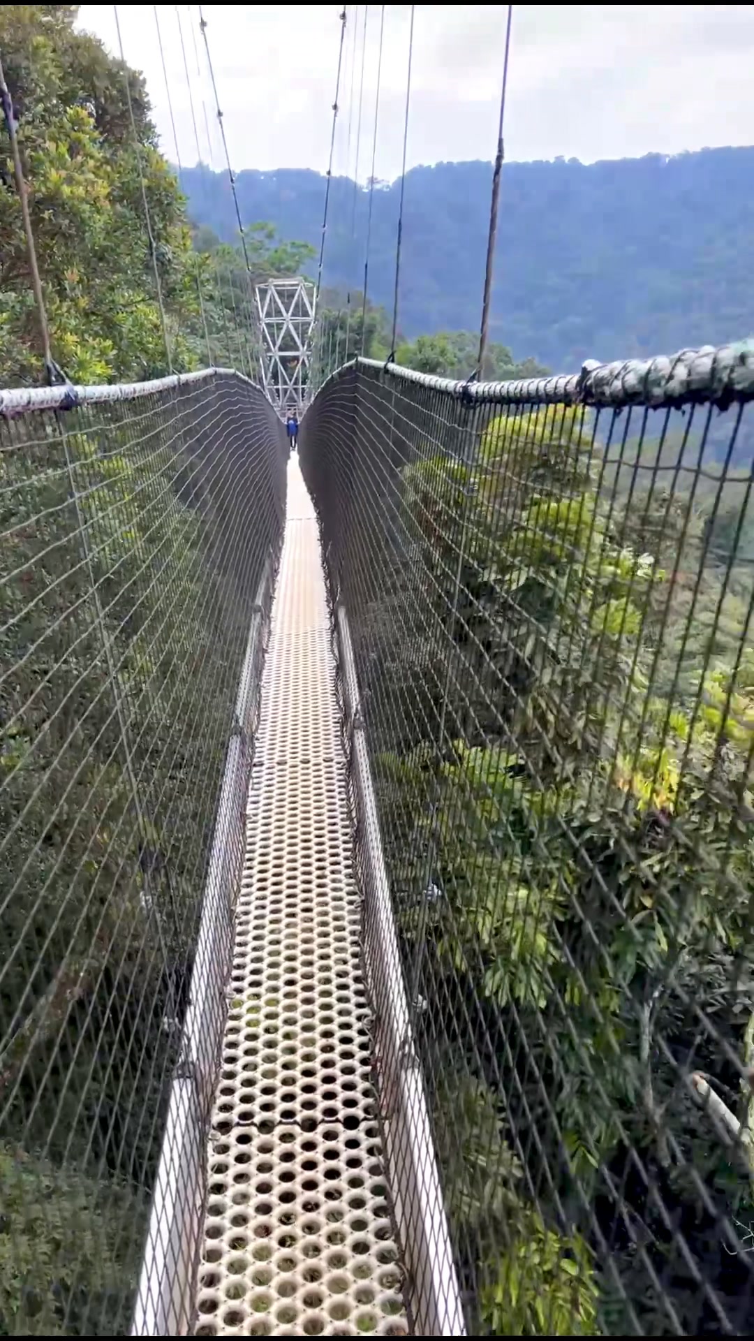 Nyungwe Forest National Park