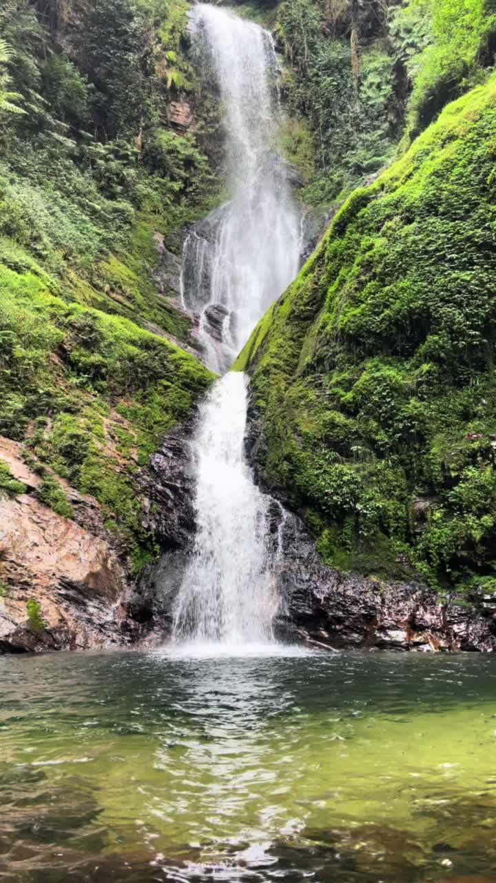 Nyungwe Forest National Park