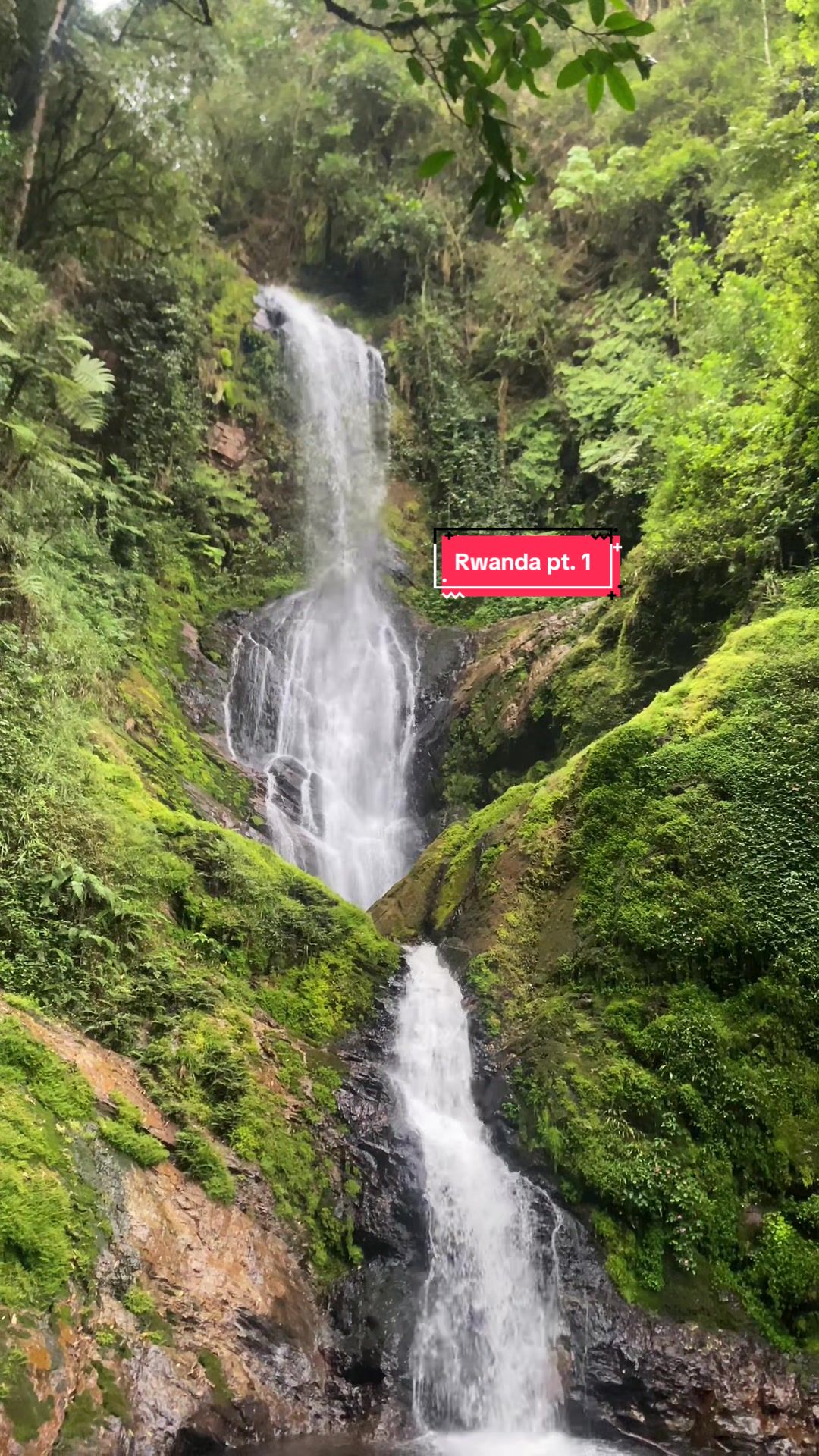 Nyungwe Forest National Park