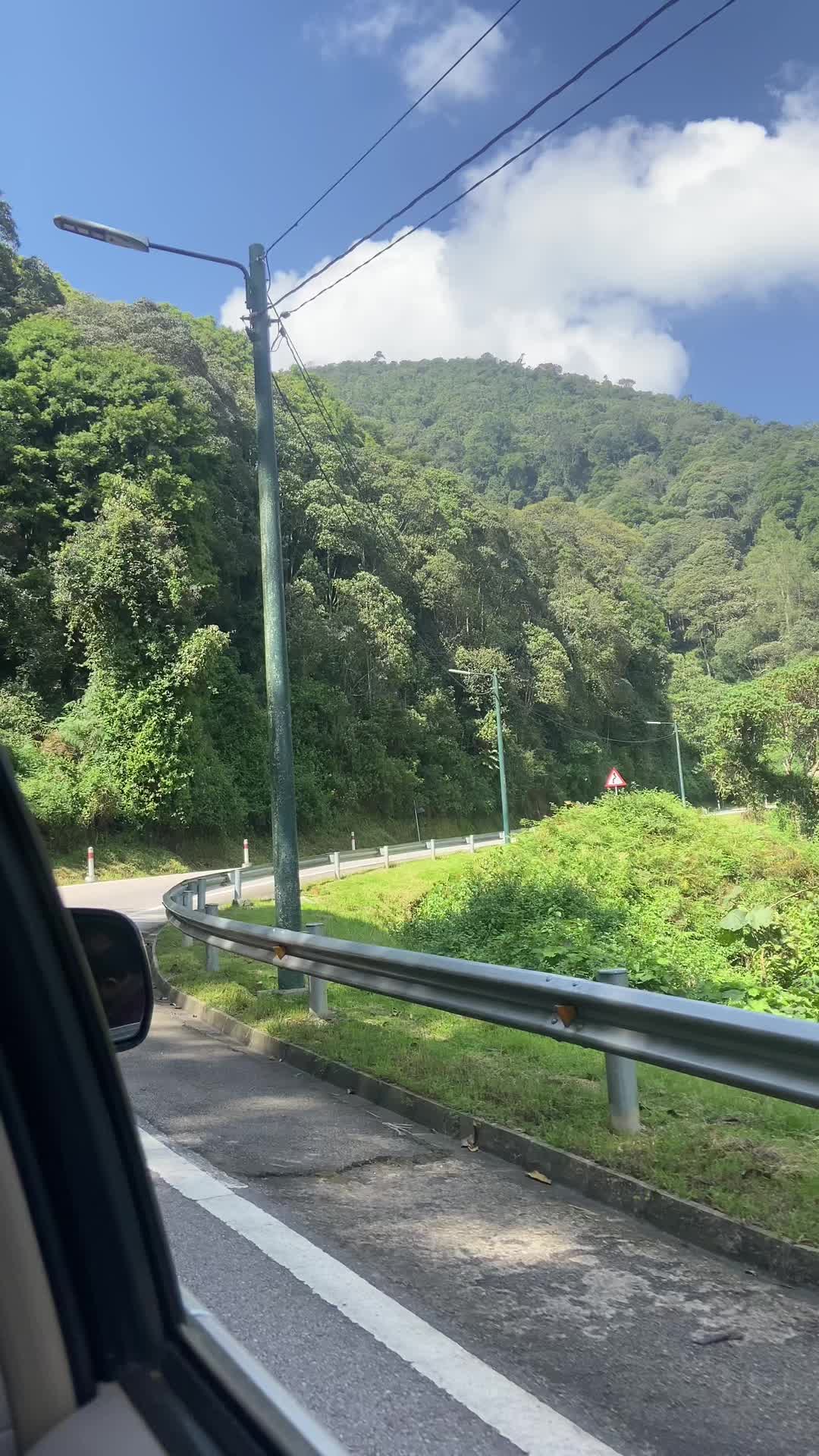 Nyungwe Forest National Park