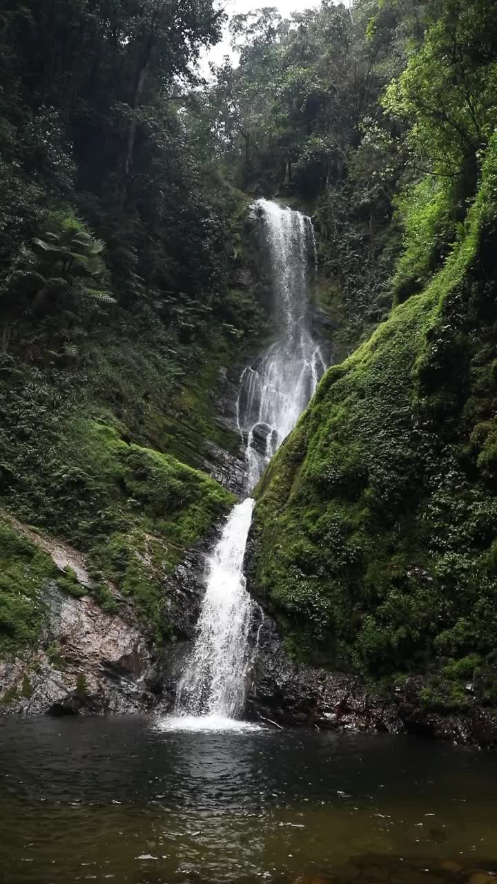 Nyungwe Forest National Park