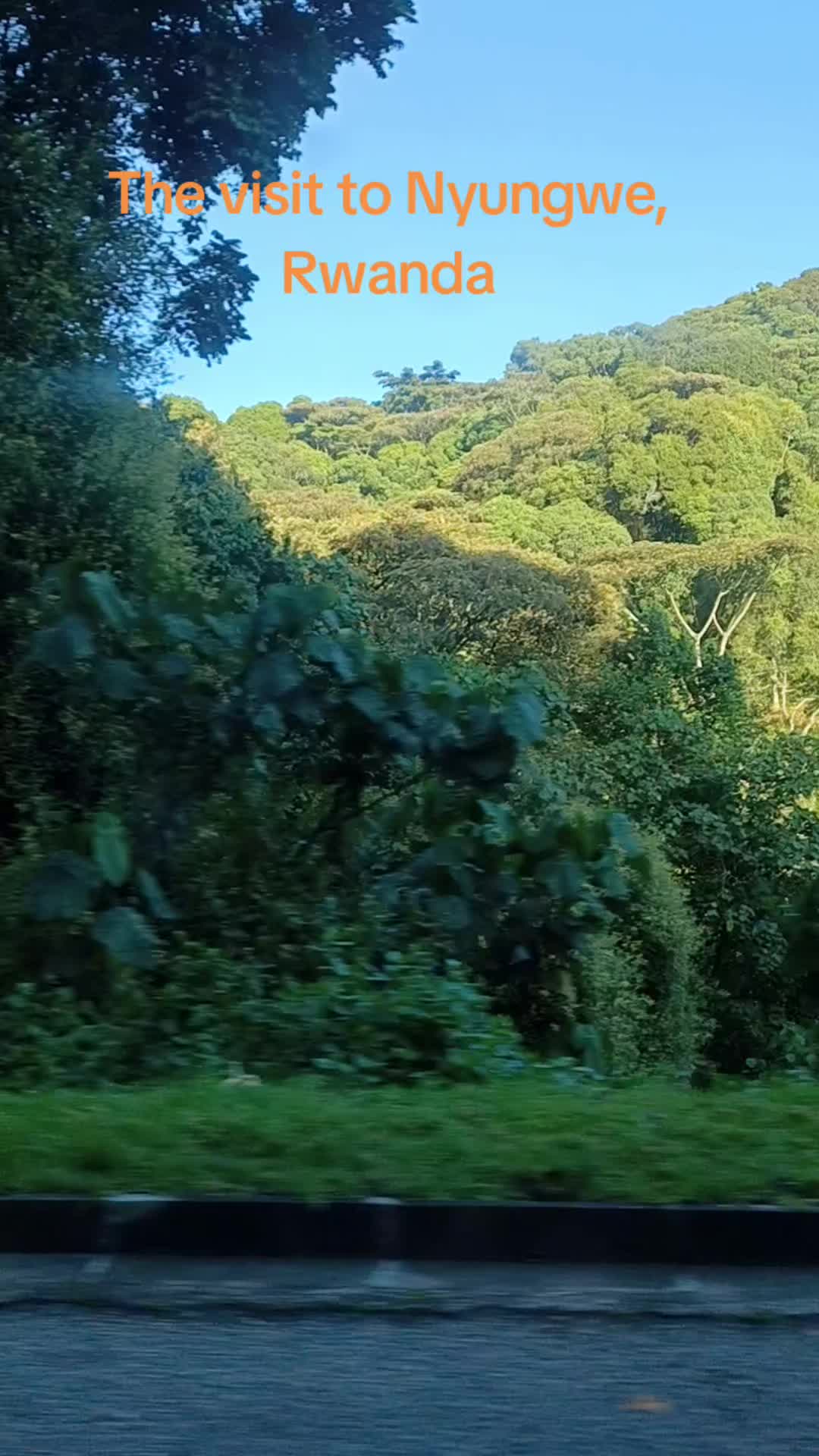 Nyungwe National Park