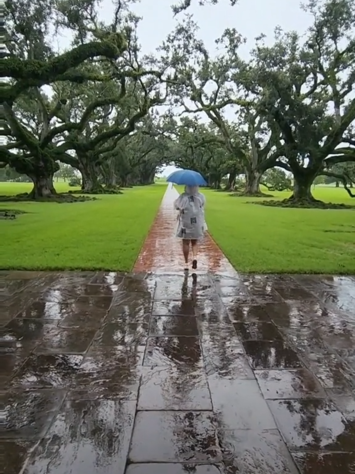 Oak Alley Plantation