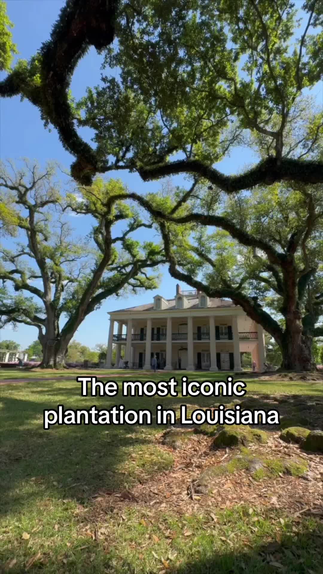 Oak Alley Plantation