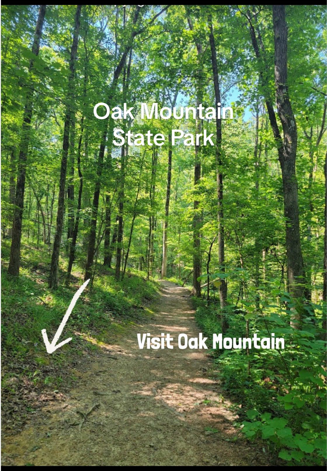 Oak Mountain State Park