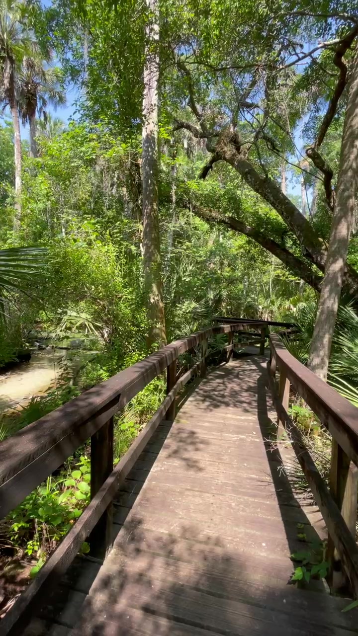 Ocala National Forest