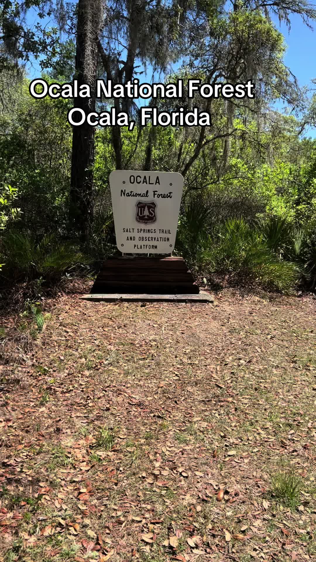Ocala National Forest