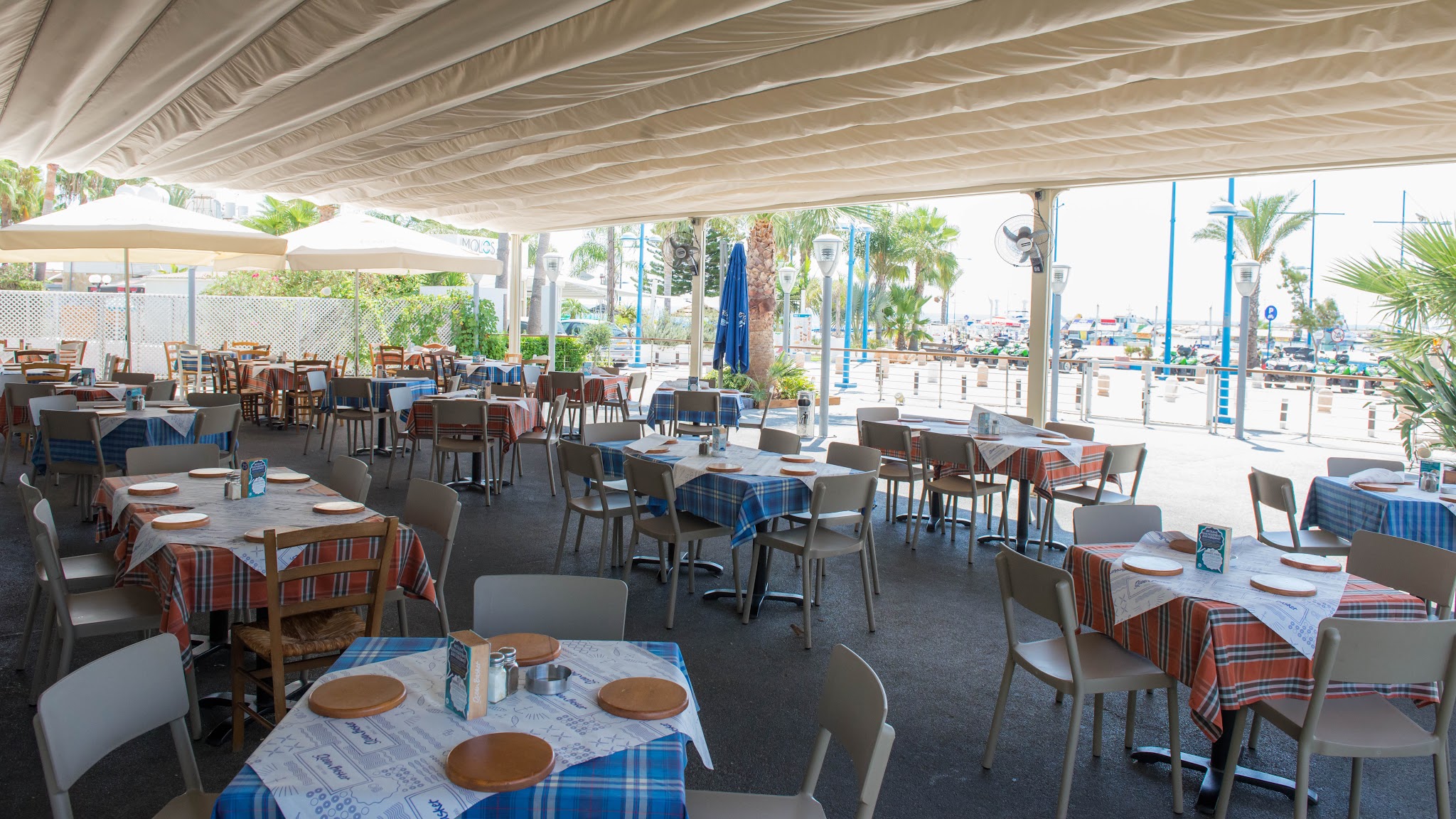 תמונה עבור Ocean Basket Ayia Napa