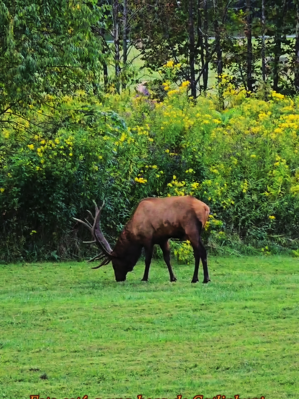 Oconaluftee Visitor Center (Great Smoky Mountains National Park)