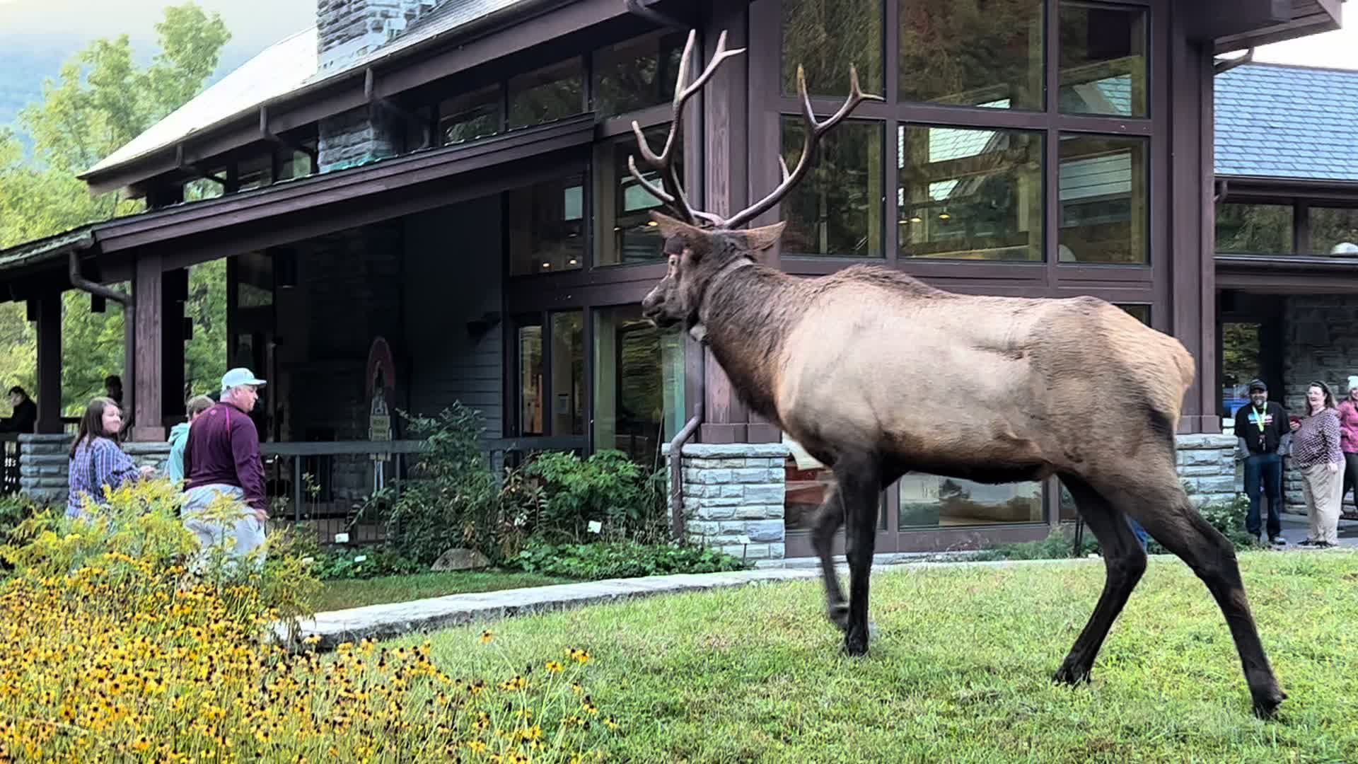 Oconaluftee Visitor Center (Great Smoky Mountains National Park)