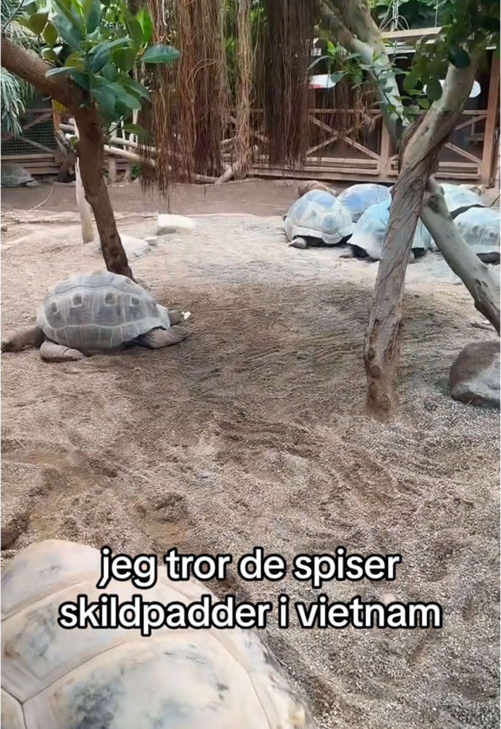 Оденсе, зоопарк