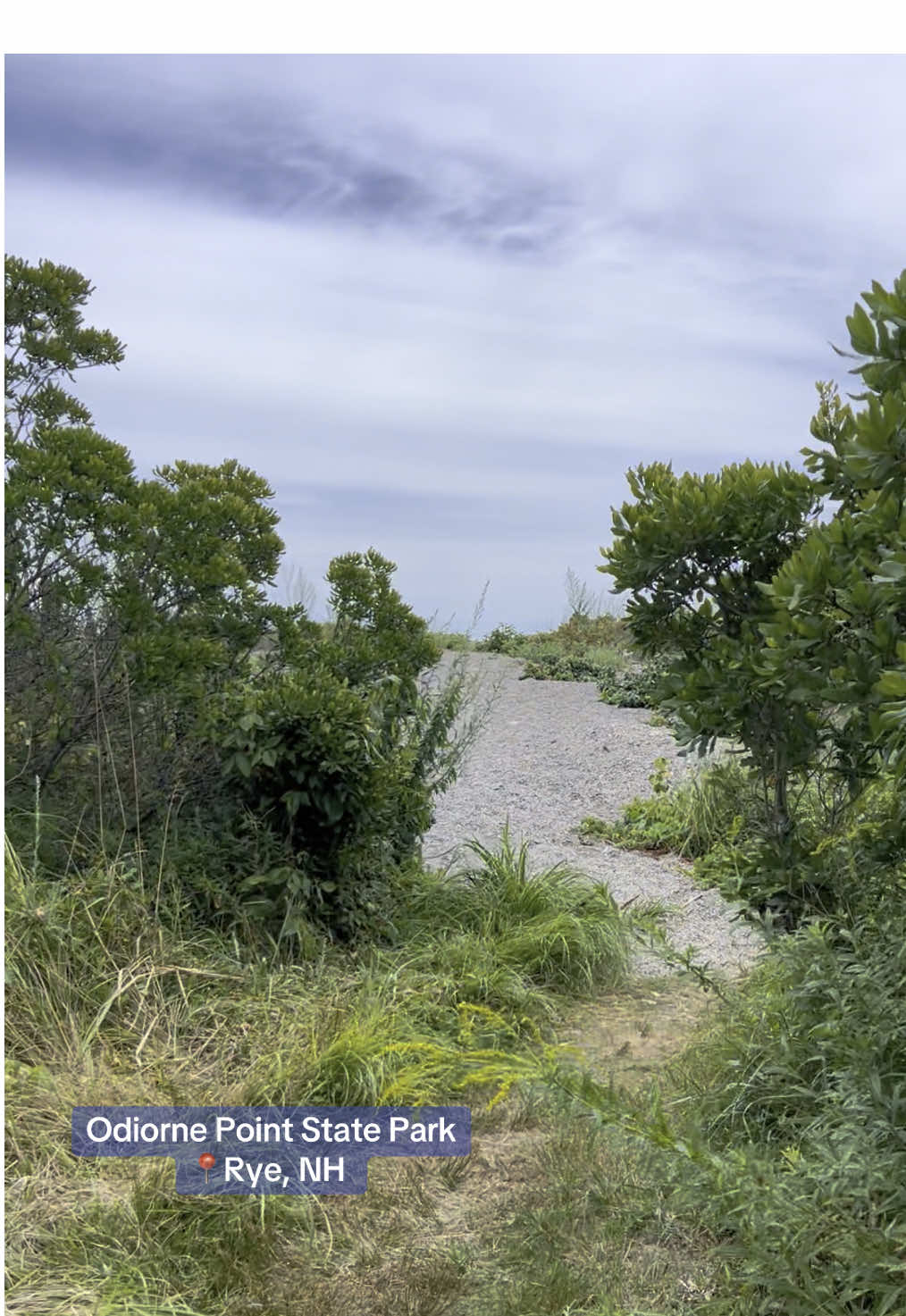 Odiorne Point State Park