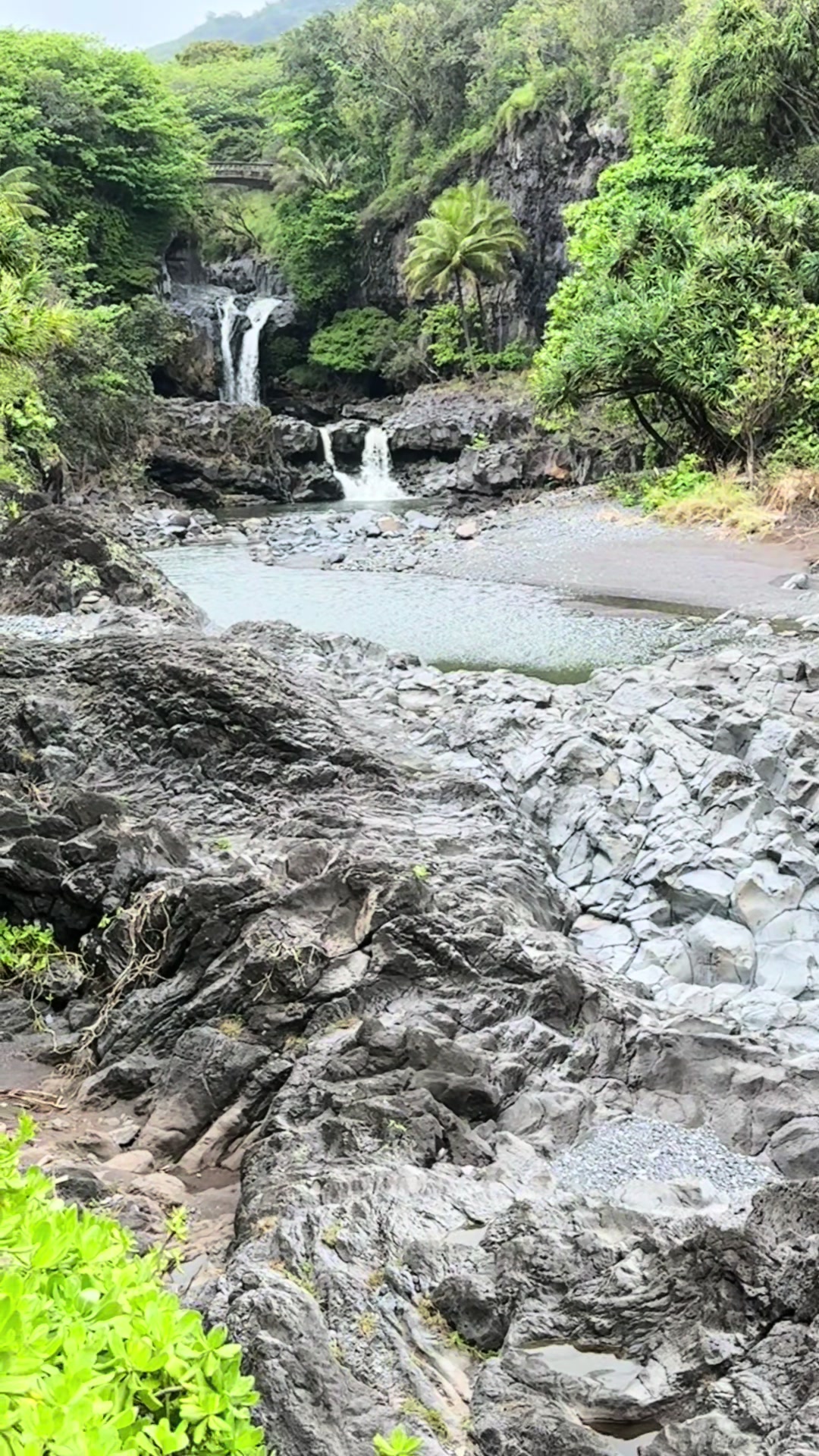 Ohe'o Gulch (Pools of Ohe'o)