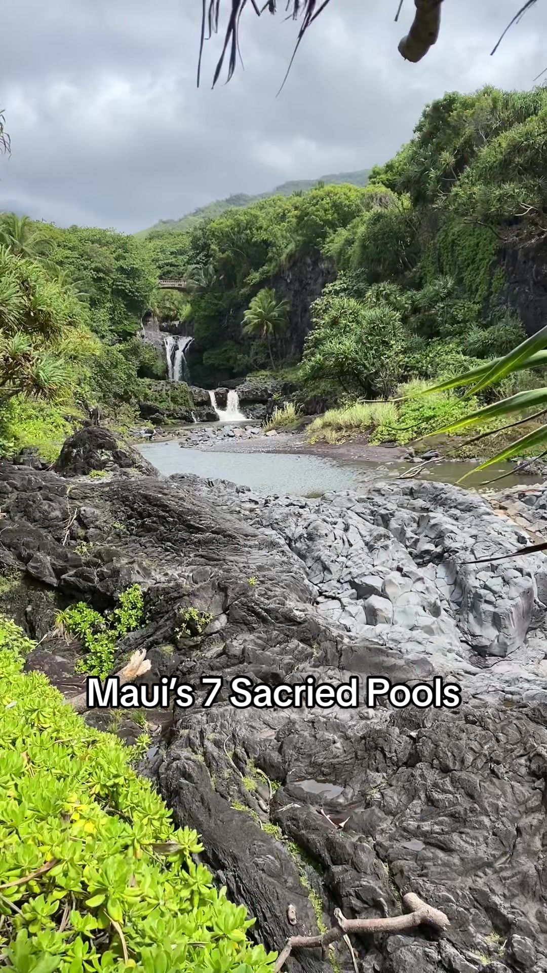 Ohe'o Gulch (Pools of Ohe'o)