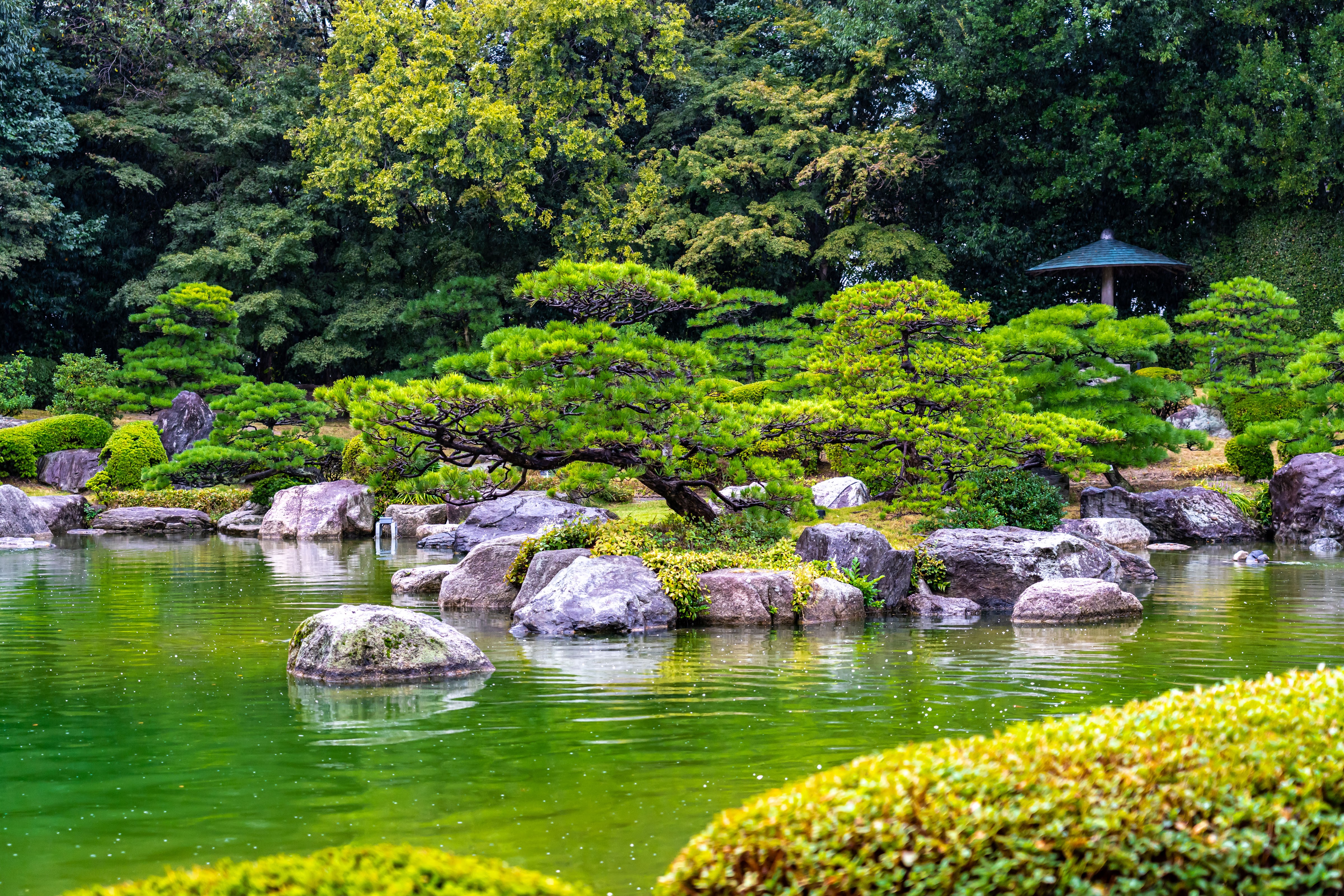 Fukuoka Healthy Food - Top Landmarks & Activities