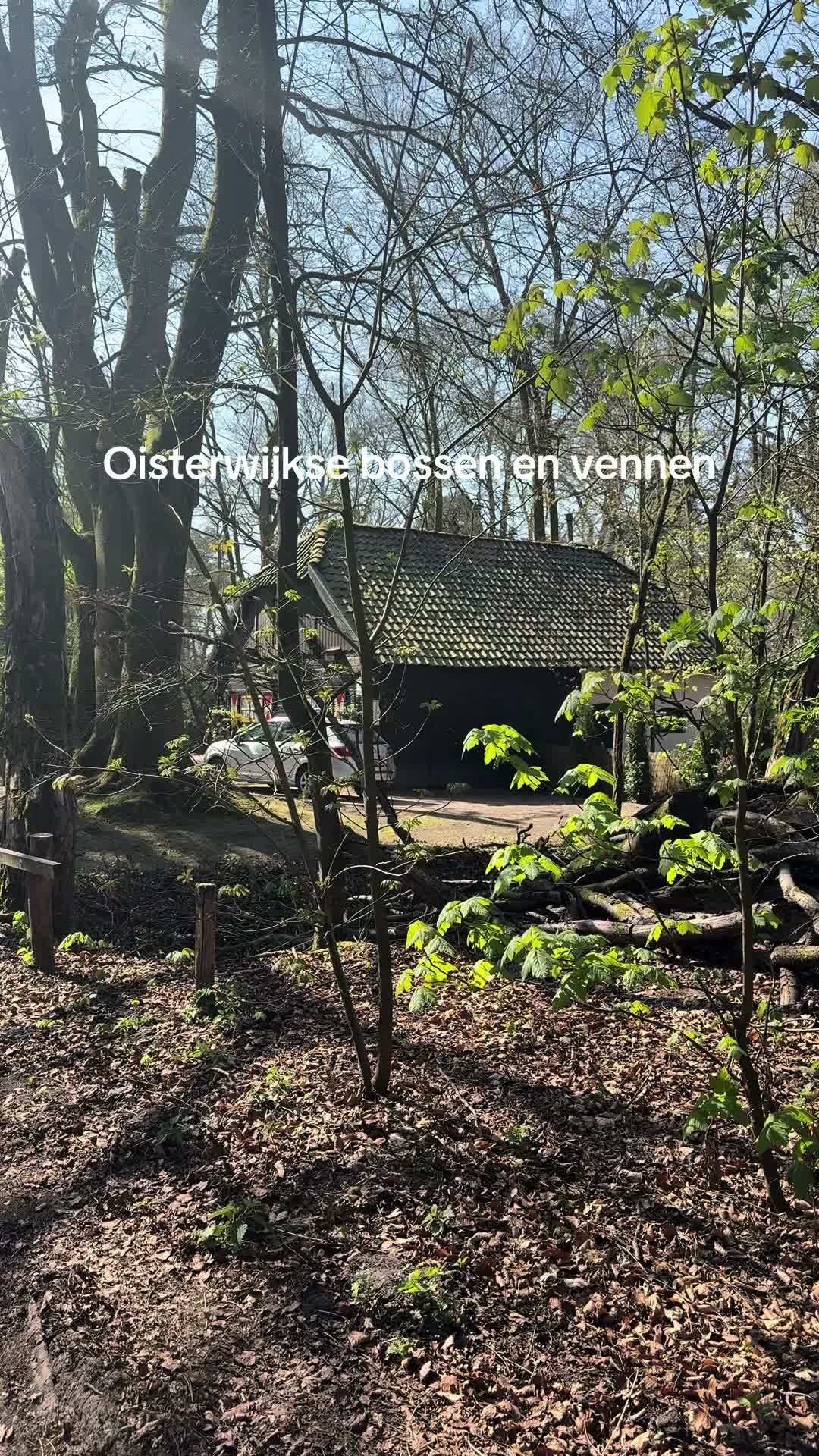 Oisterwijkse Bossen en Vennen