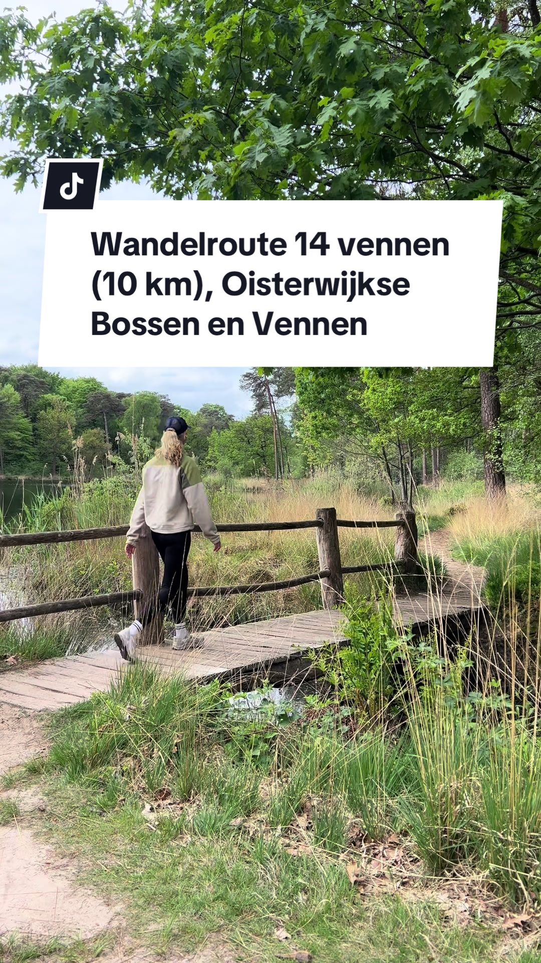 Oisterwijkse Bossen en Vennen