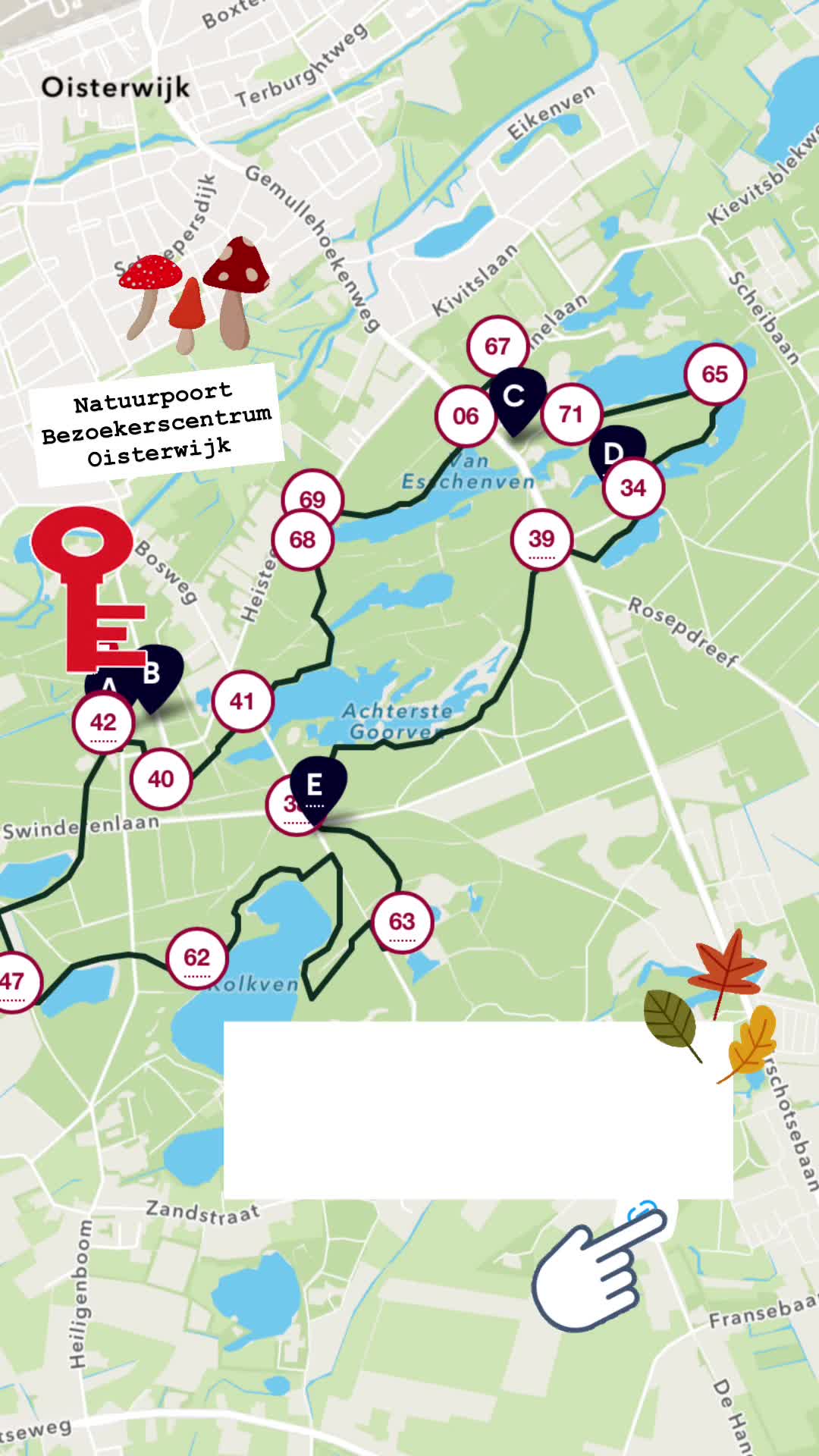 Oisterwijkse Bossen en Vennen