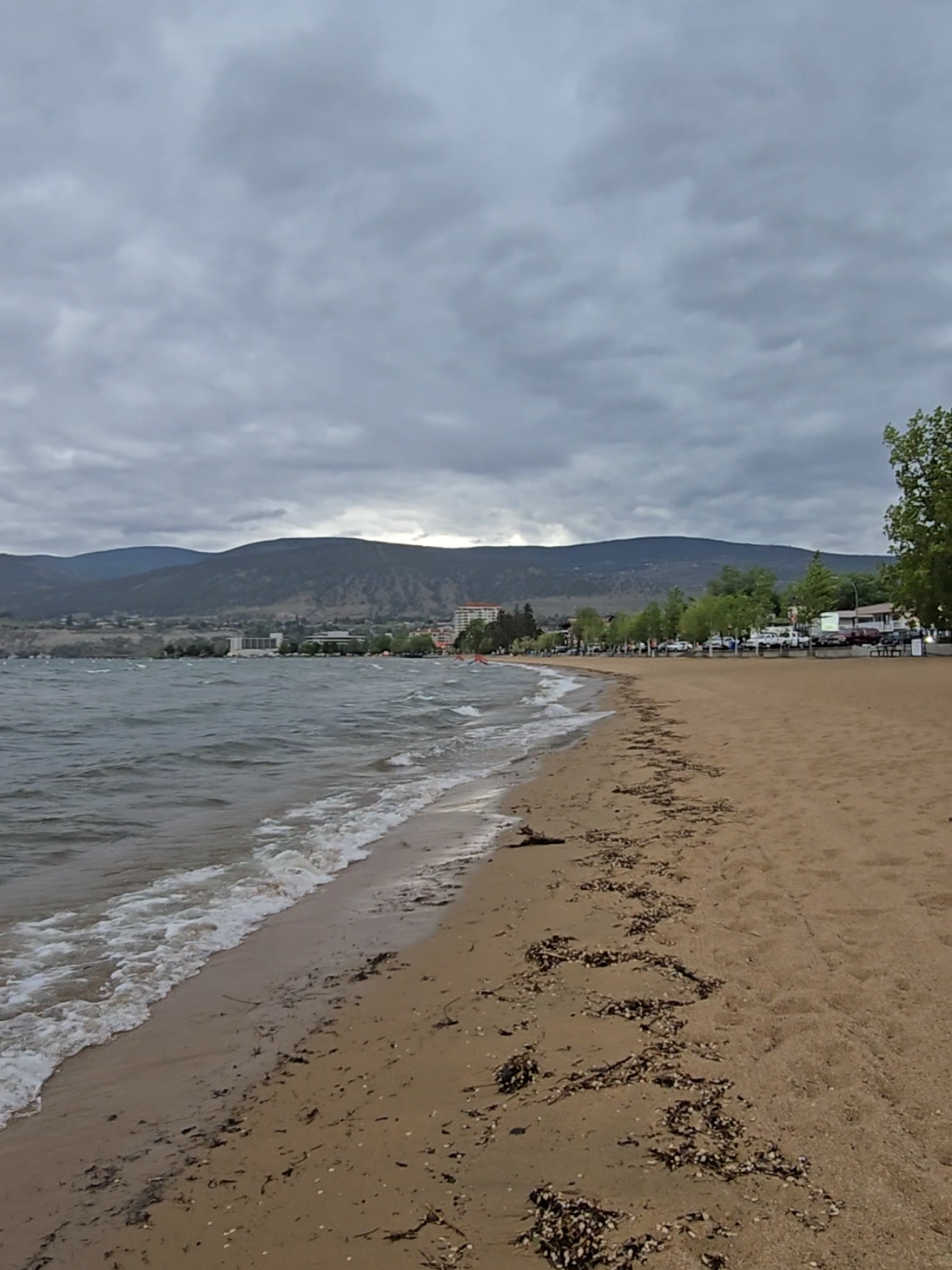 Okanagan Lake Beach
