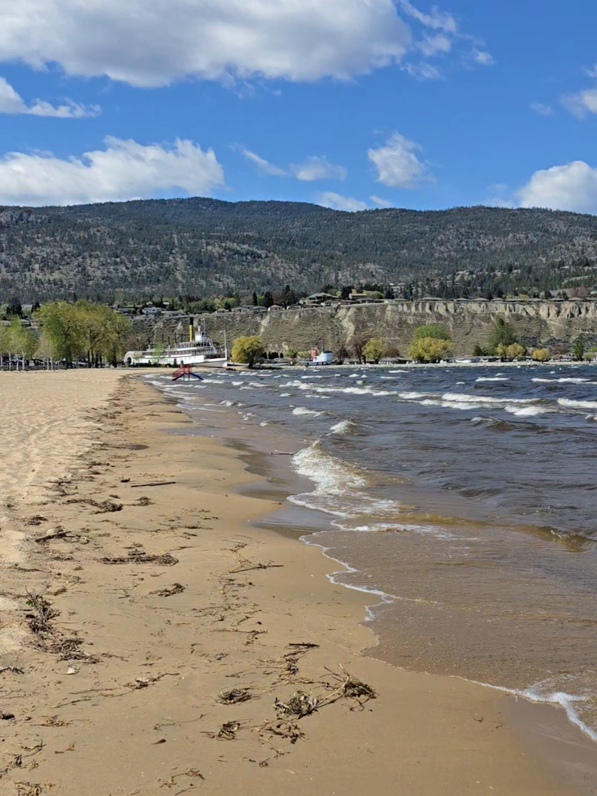 Okanagan Lake Beach