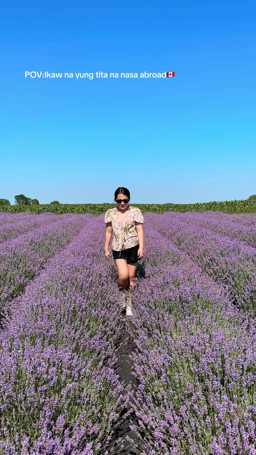 Okanagan Lavender & Herb Farm