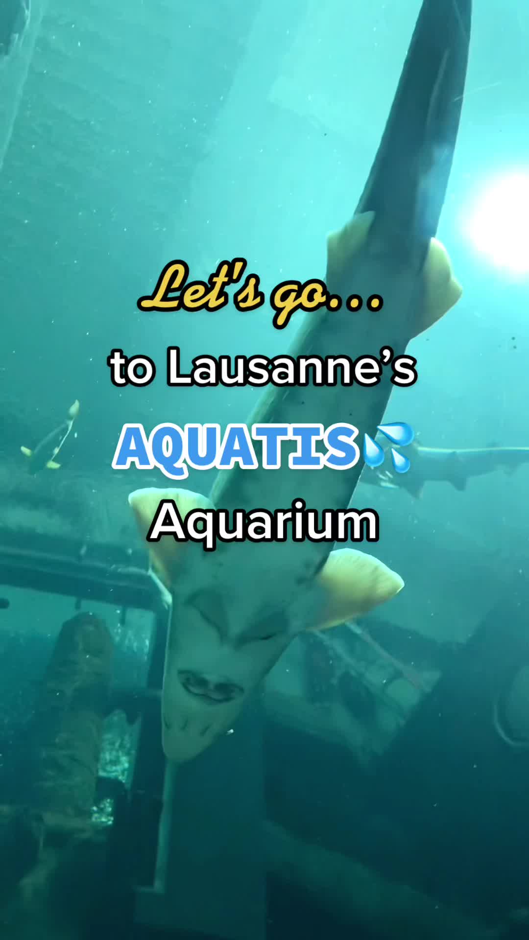 Океанариум Aquatis, Лозанна