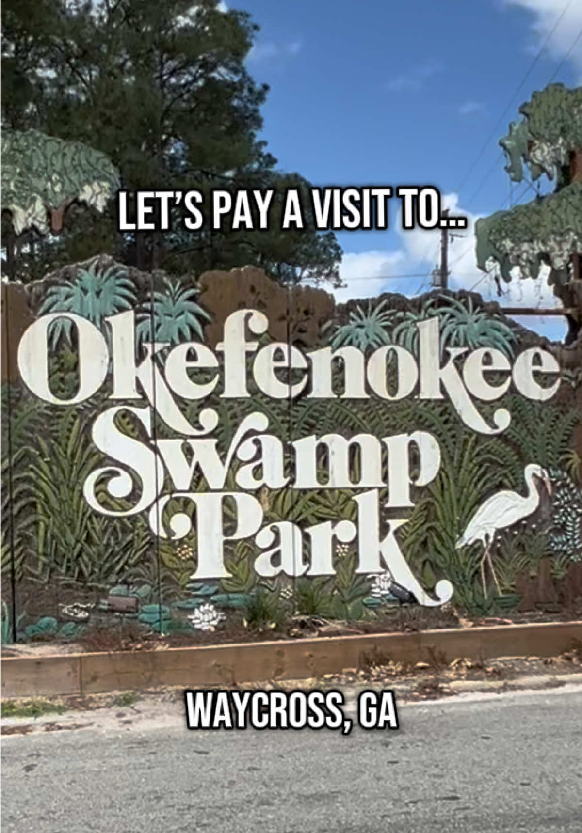 Okefenokee Swamp