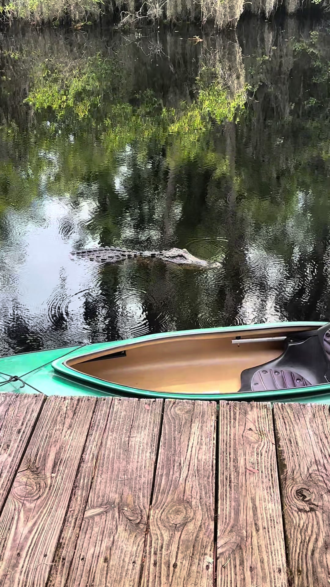 Okefenokee Swamp