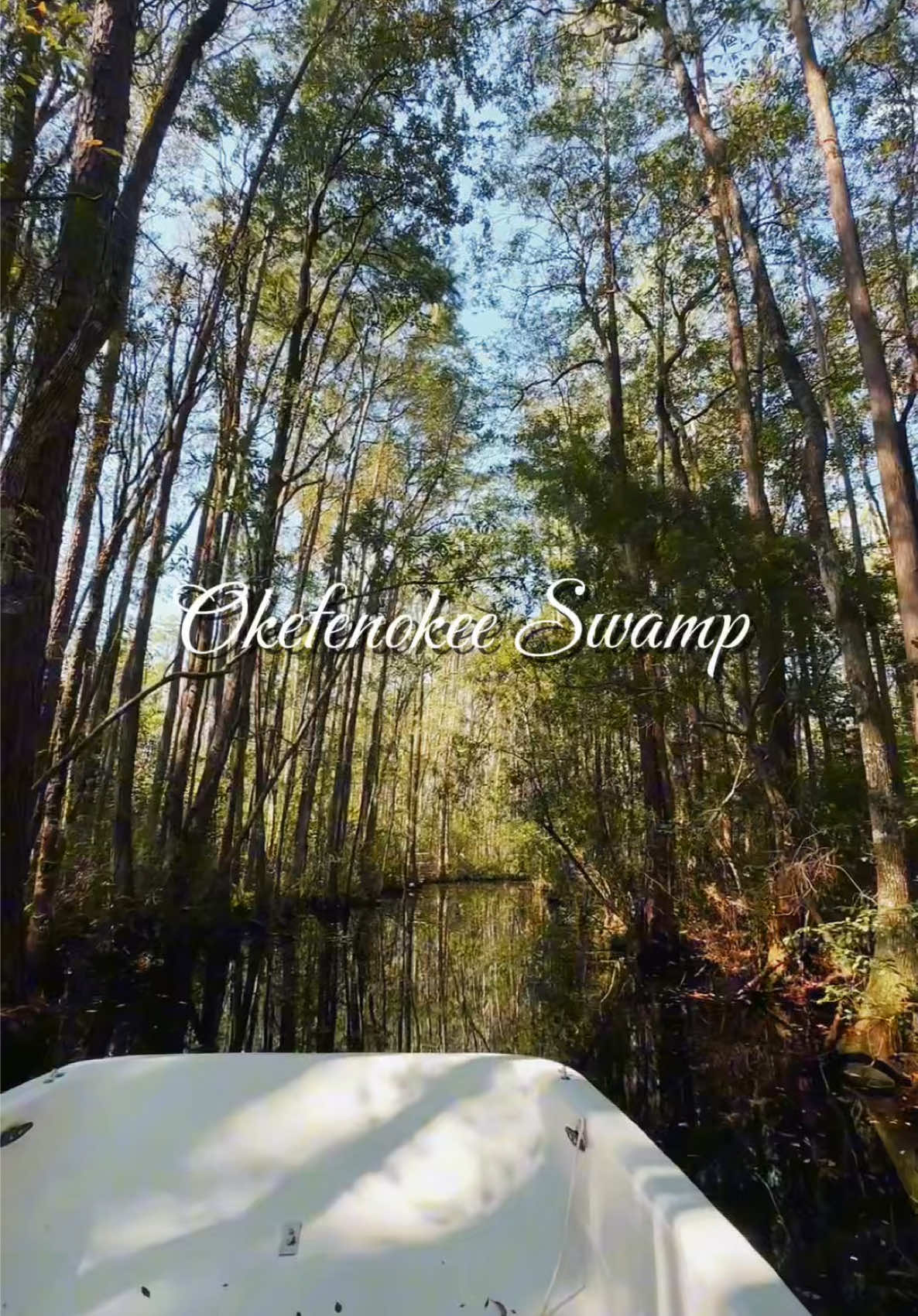 Okefenokee Swamp