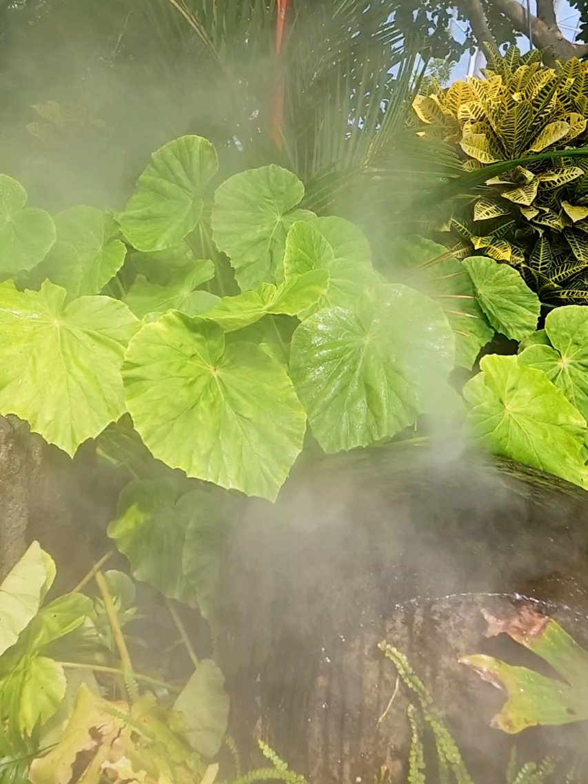 Oklahoma City, OK (Myriad Botanical Gardens & Bricktown attractions)