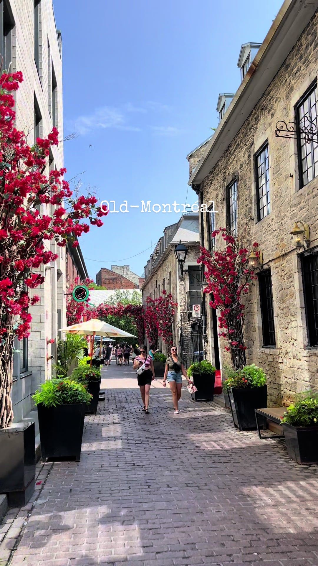 Old Montreal (Vieux-Montréal)