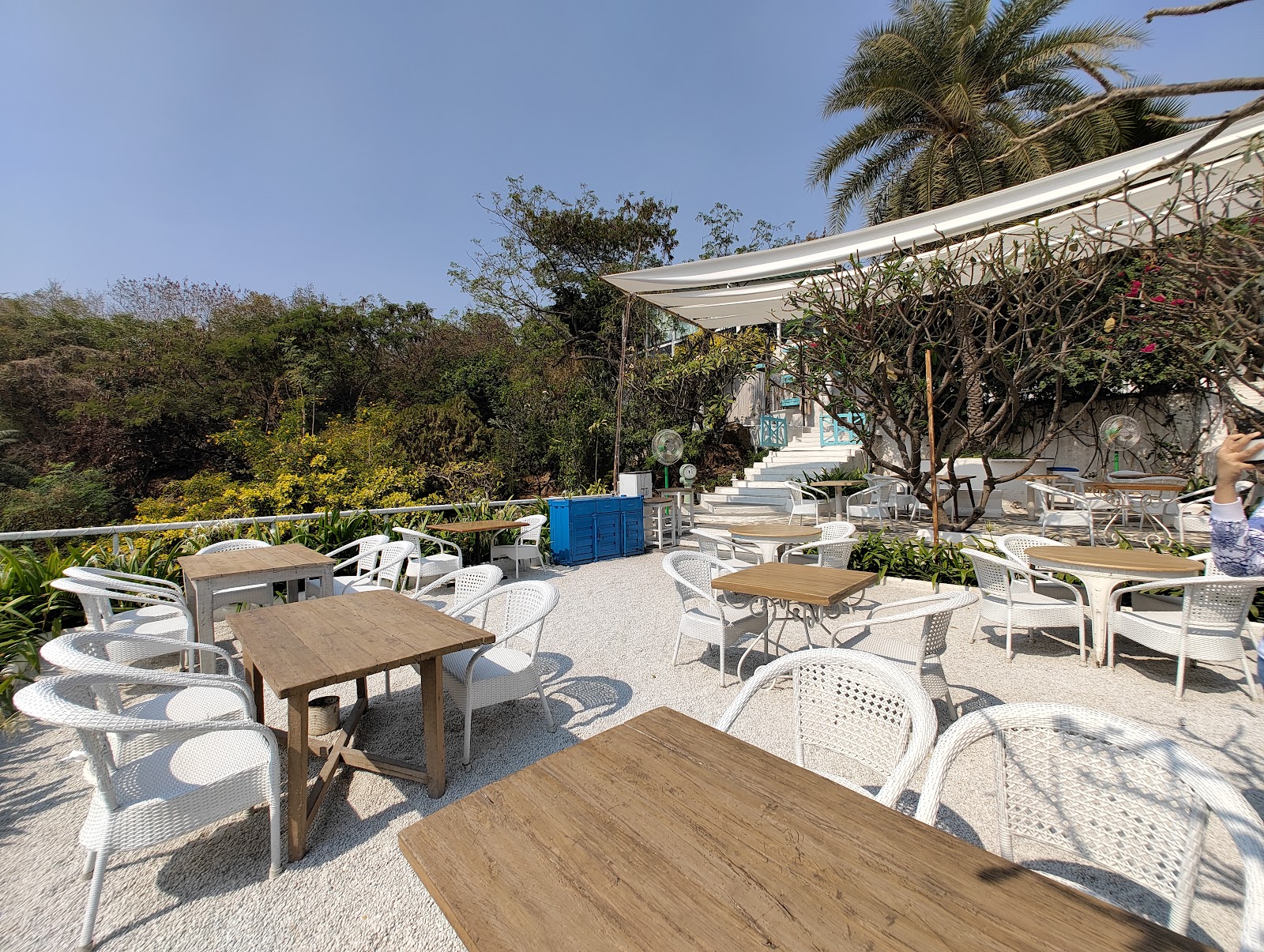 תמונה עבור Olive Bistro