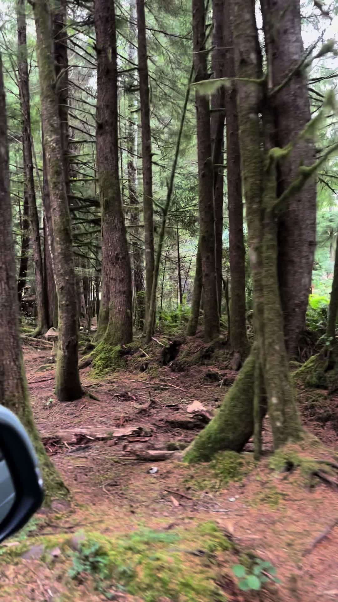 Olympic National Park