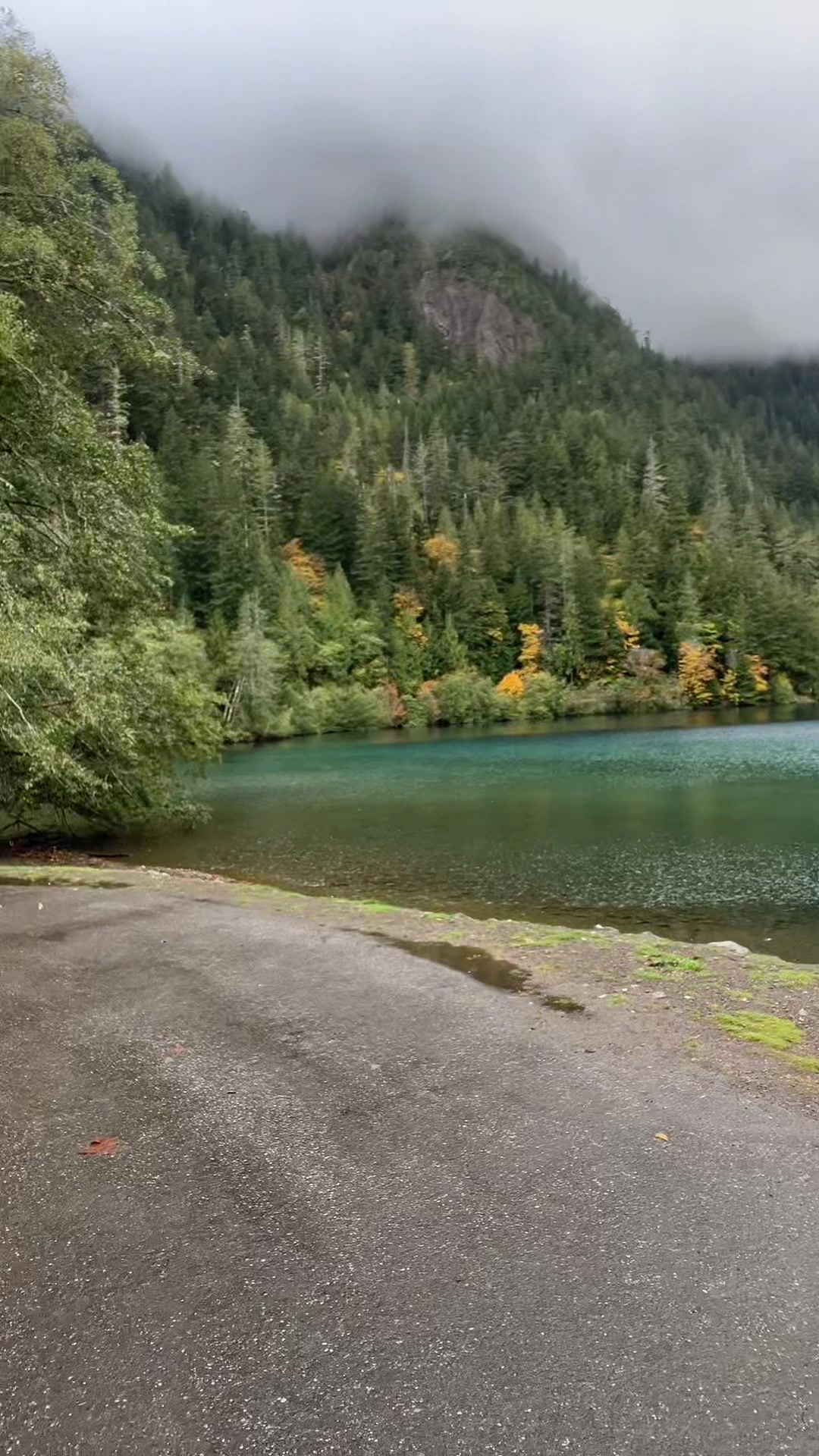 Olympic National Park