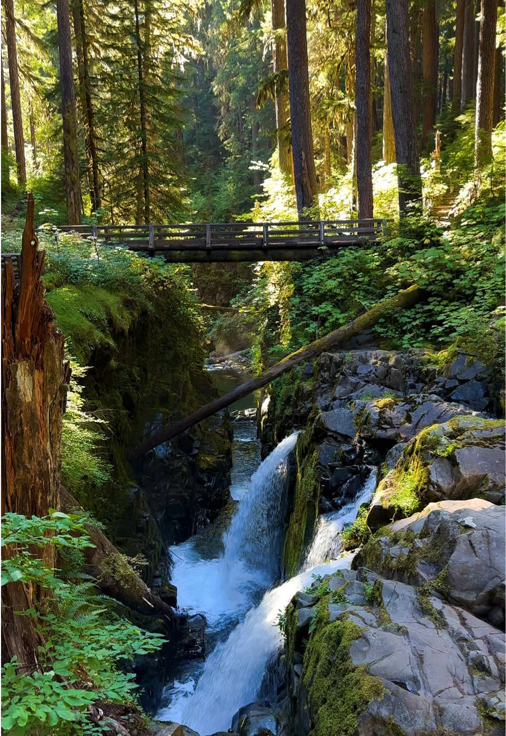 Olympic National Park