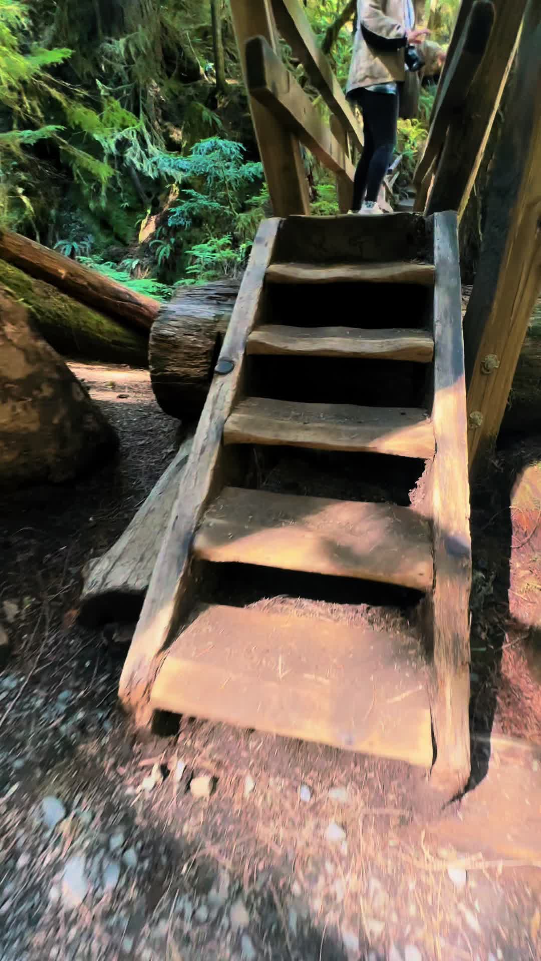 Olympic National Park