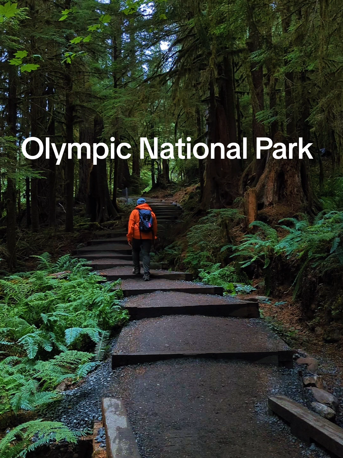 Olympic National Park
