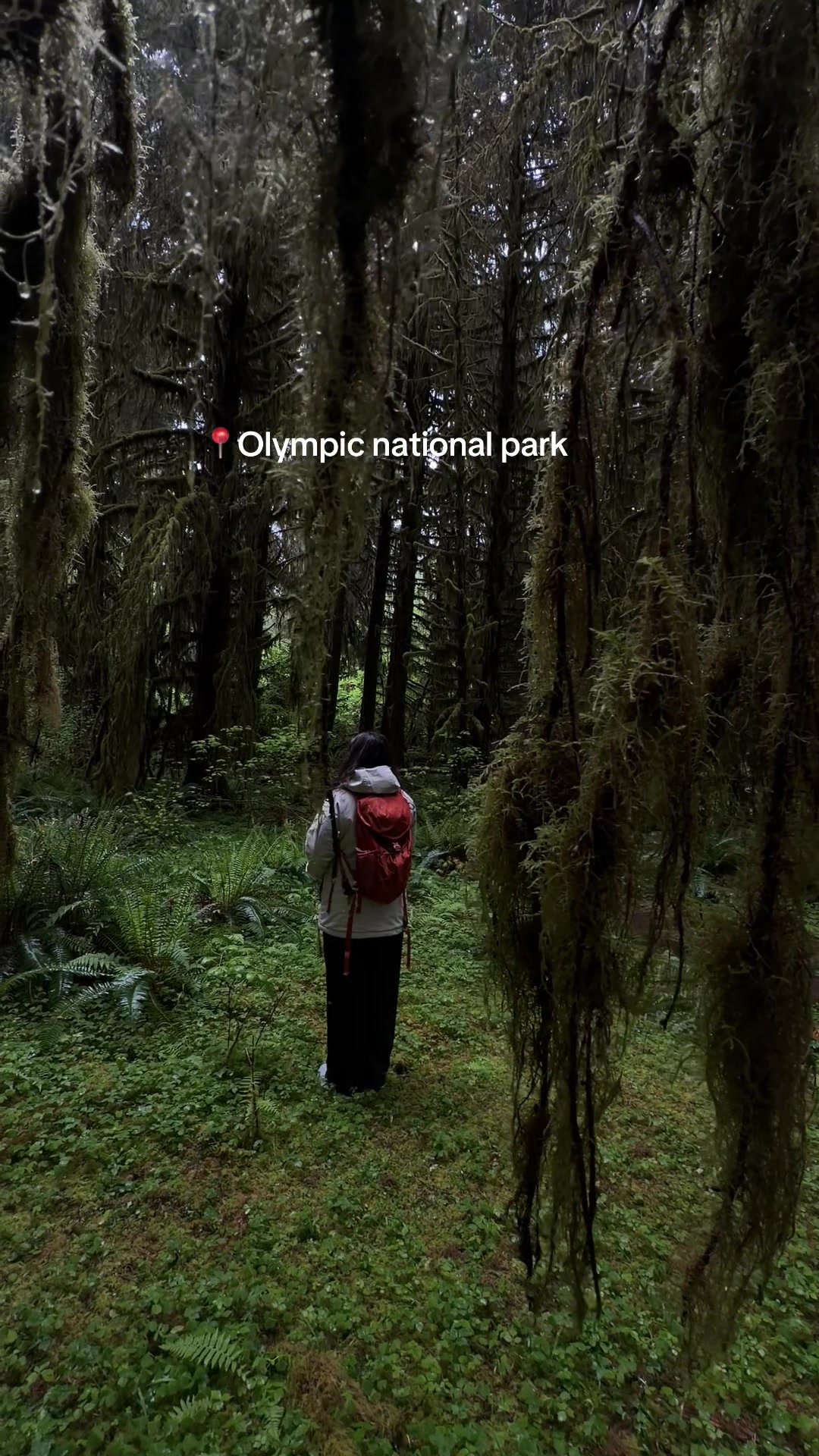 Olympic National Park