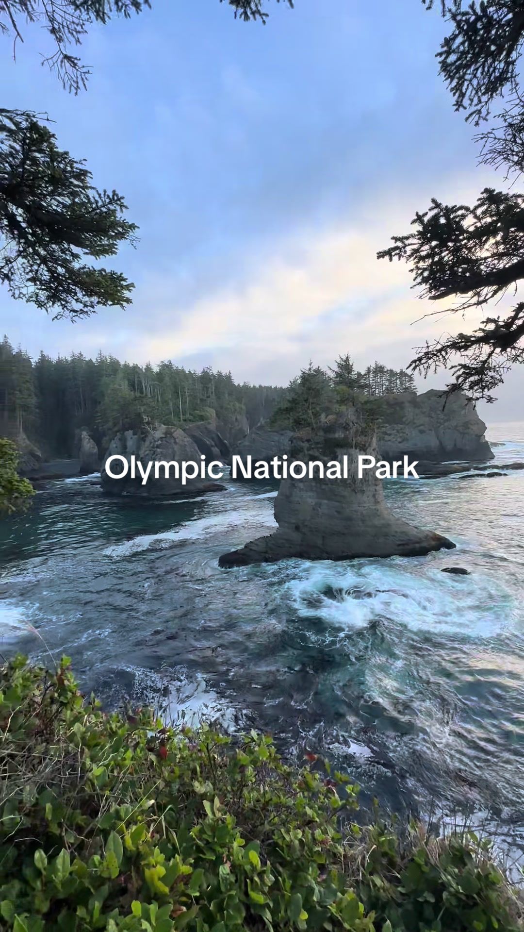 Olympic National Park