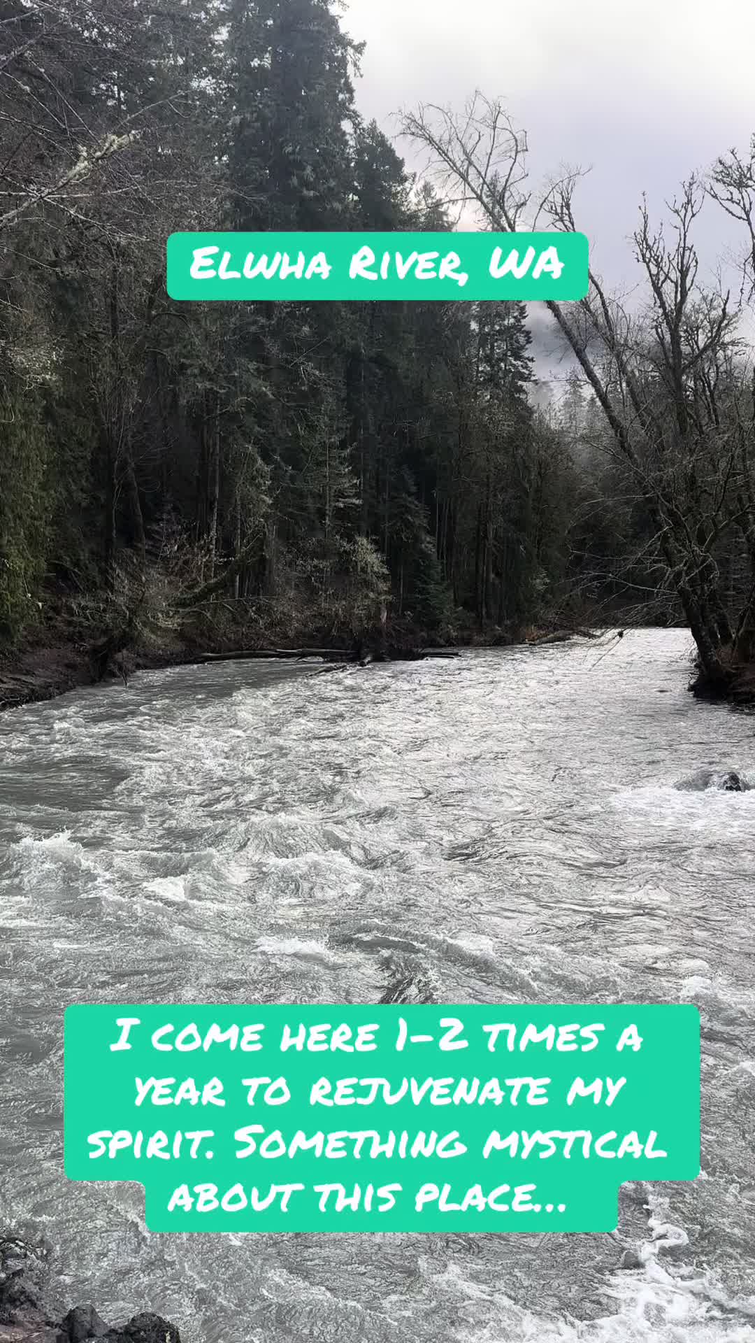 Olympic Peninsula Rivers