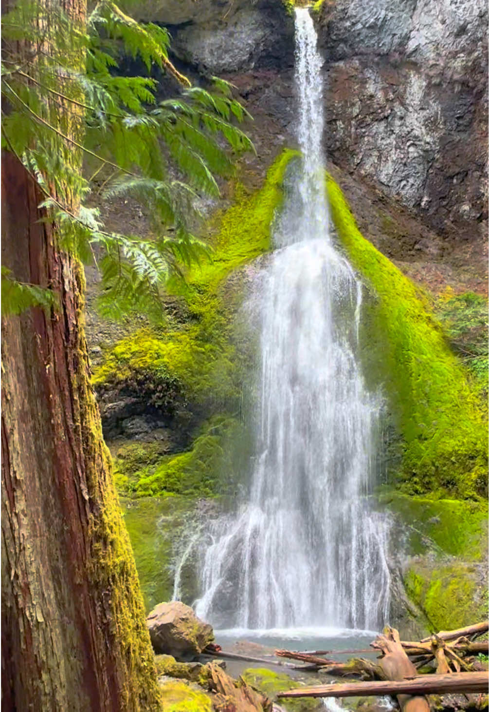 Olympic Peninsula Rivers