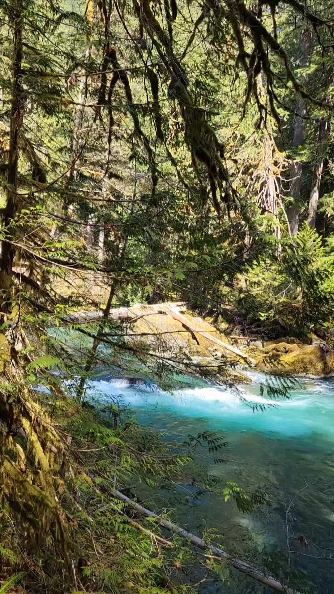 Olympic Peninsula Rivers