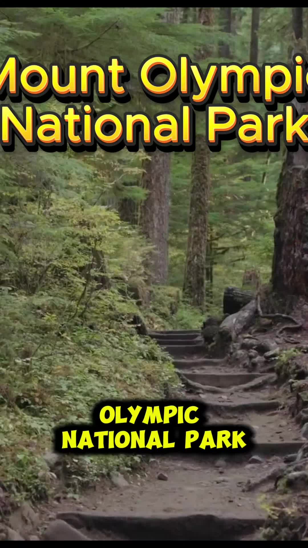 Olympic Peninsula Rivers