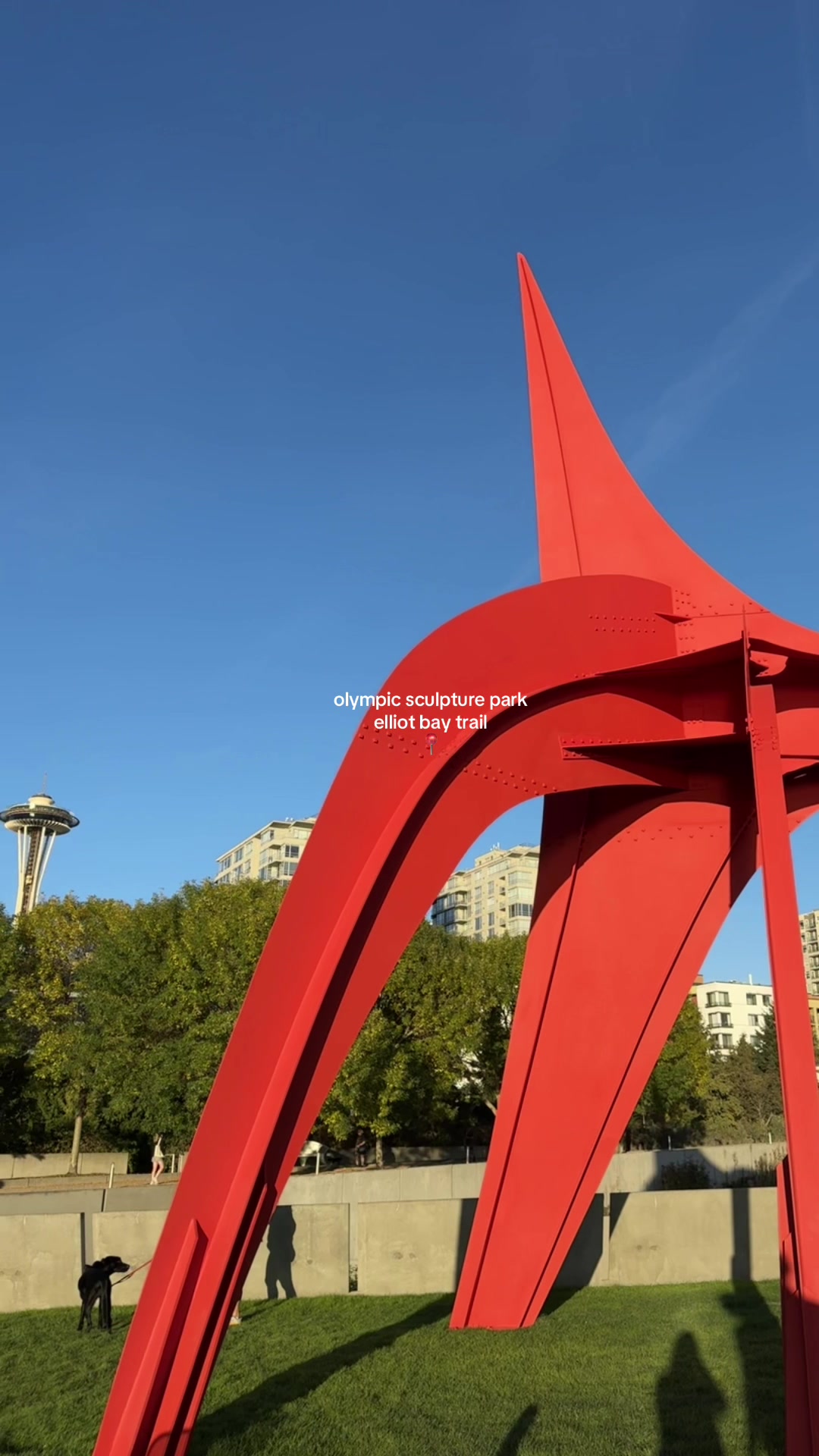 Olympic Sculpture Park