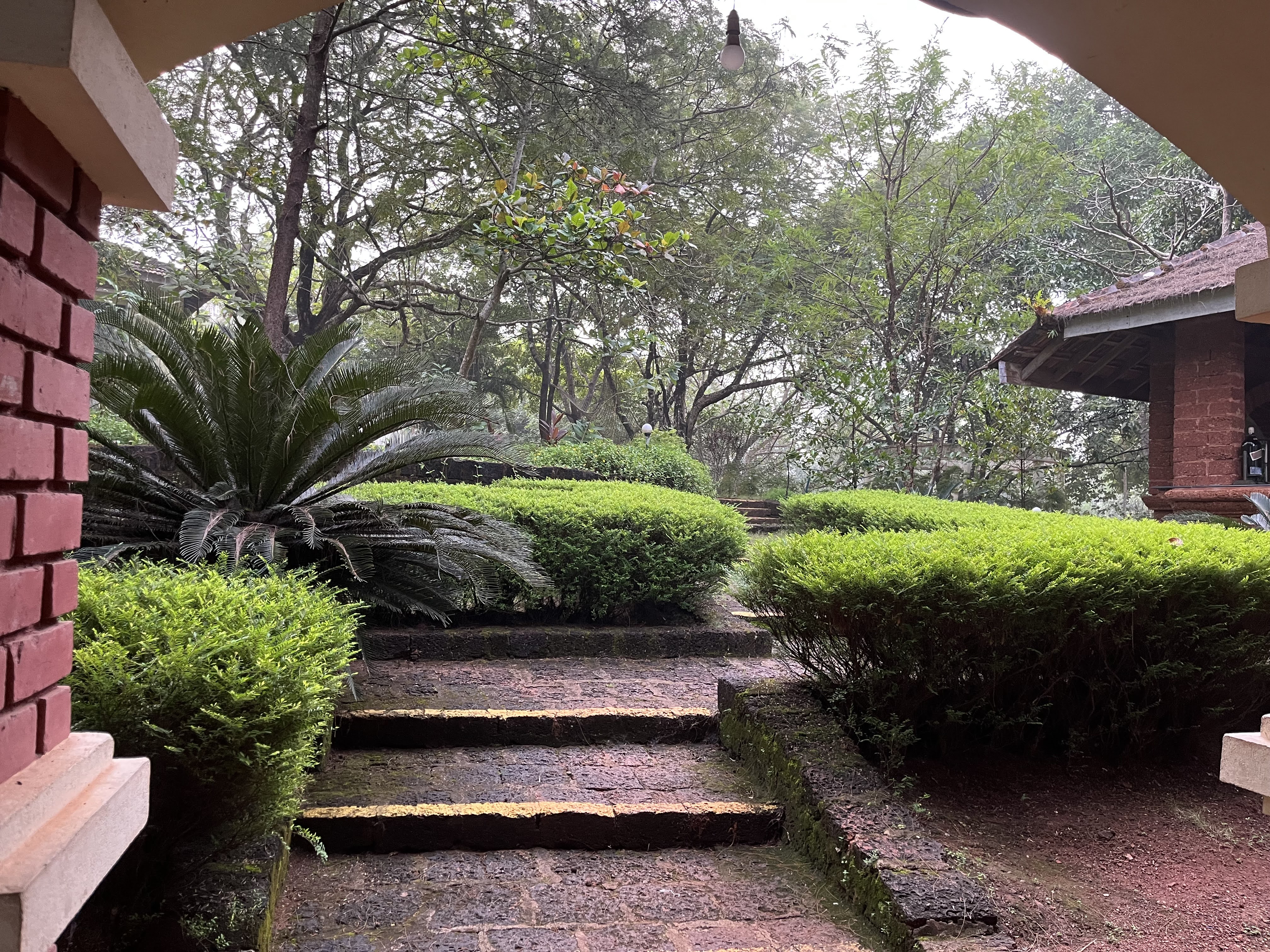 Picture for Om Beach Resort