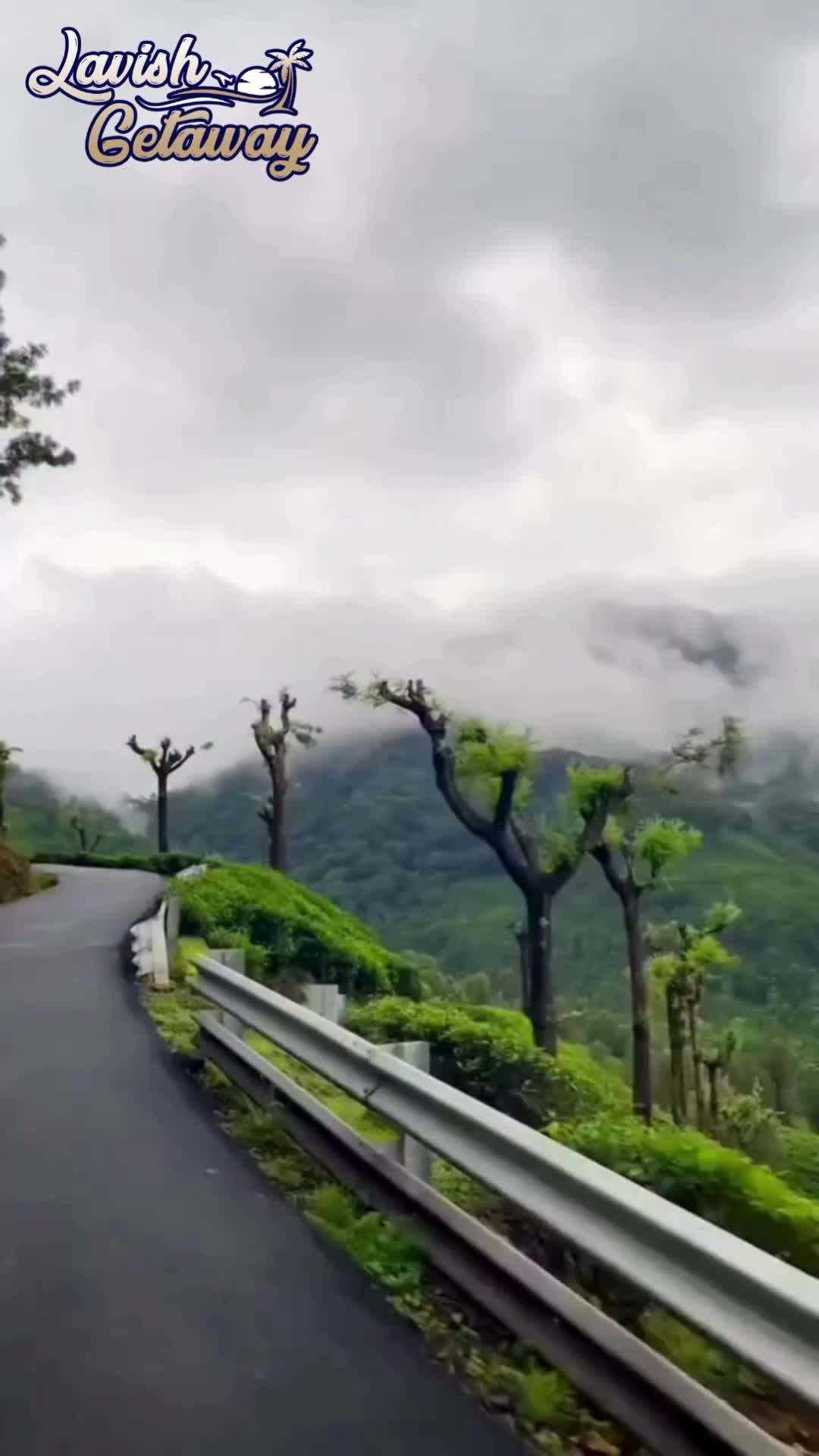 Ooty (Udhagamandalam)